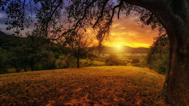 immagine ambiente e territorio def